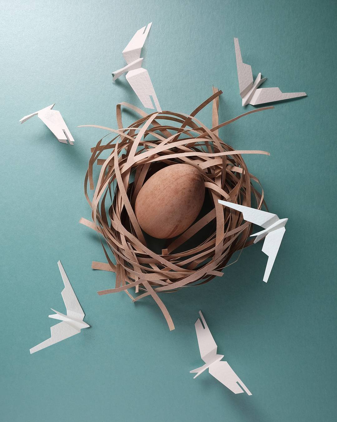 paper cut illustration nest