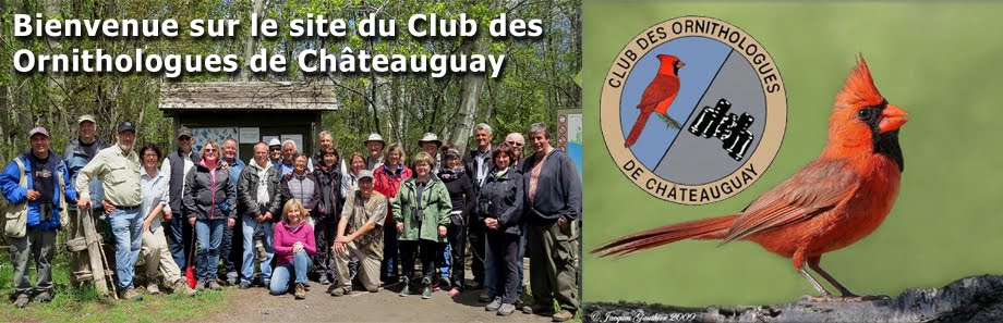 Club des ornithologues de Châteauguay