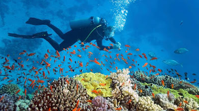 Πώς πήρε το άρωμά της η θάλασσα;