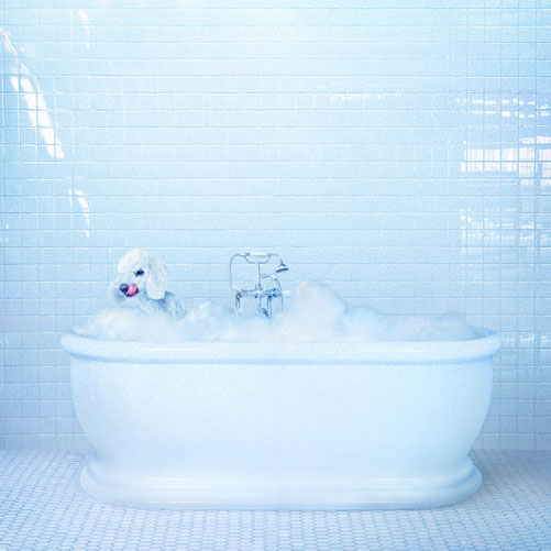 The 10 Best Album Cover Artworks of 2018: 02. Frankie Cosmos - Vessel
