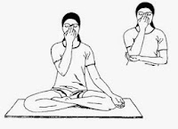 Image result for nadi shodhana