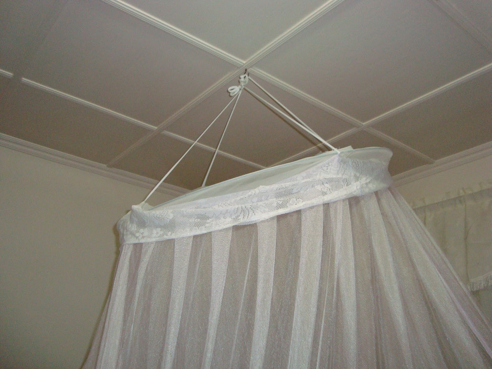 International Woman of Mystery Living under a mosquito net...