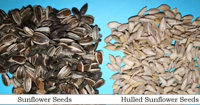 wild birds unlimited advantage of shell free bird food wild birds unlimited advantage of shell free bird food