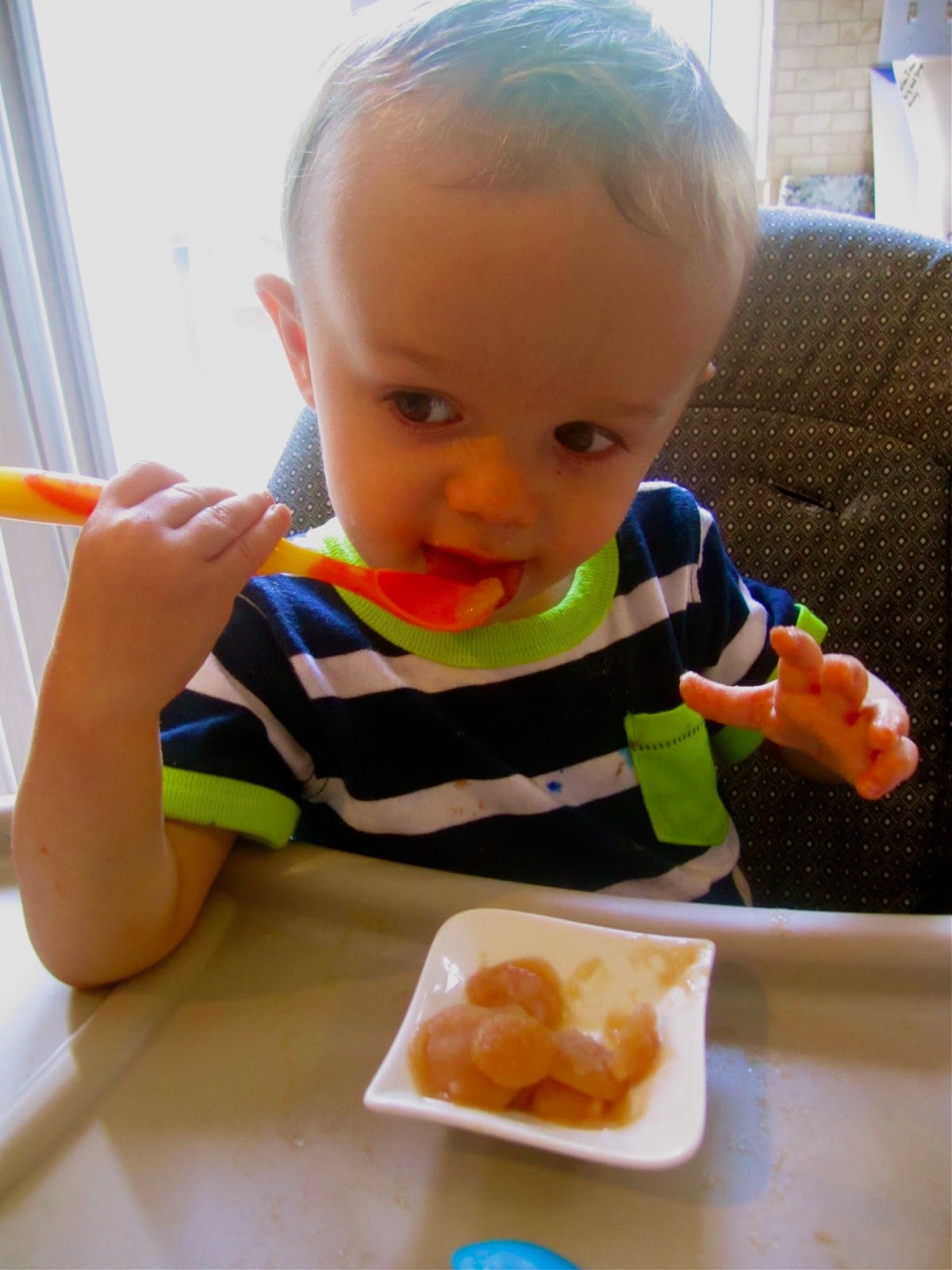 Stephanie Cooks Toddler Tuesdays Applesauce Melts