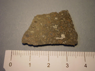 Meteorito NWA 2086 Condrita carbonácea CV3