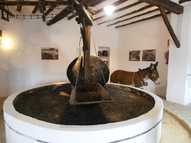 El Museo de la Cultura del Olivo de la Hacienda La Laguna, Olive Oil Museum