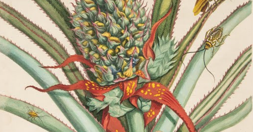 Research paper on insects image