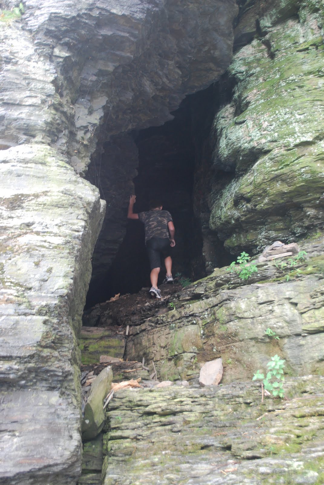 Litton's Fishing Lines Smallmouth Bass, Walleye Fishing Annual