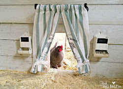 chicken coop door draft drapes winterize pop chickens insulation inside keep fresheggsdaily hanging straw diy floor winter provide walls even
