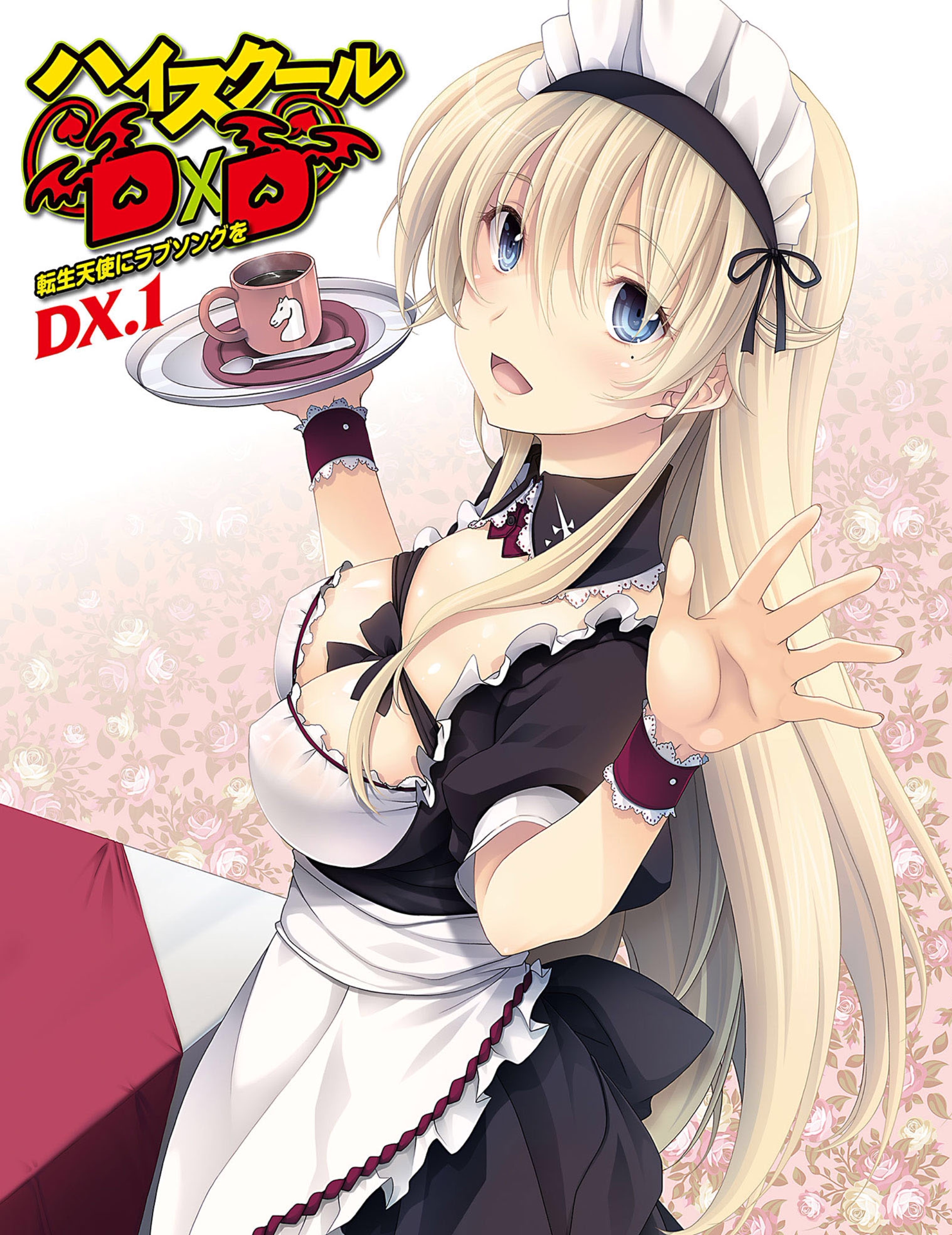 DxD_Dx1_003.jpg
