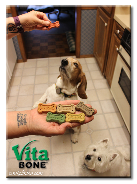 Hand with five Vita Bone Flavored Biscuits and dogs begging for them