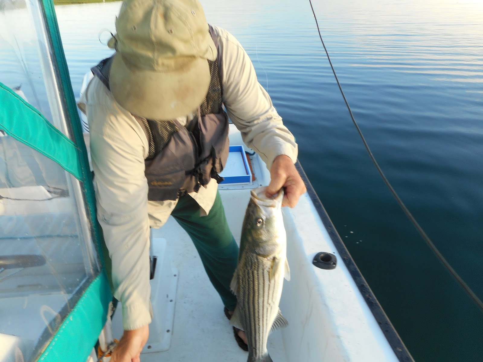 to the Millers River Fly Fishing Forum The Flats Joppa And