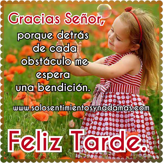 Feliz tarde.