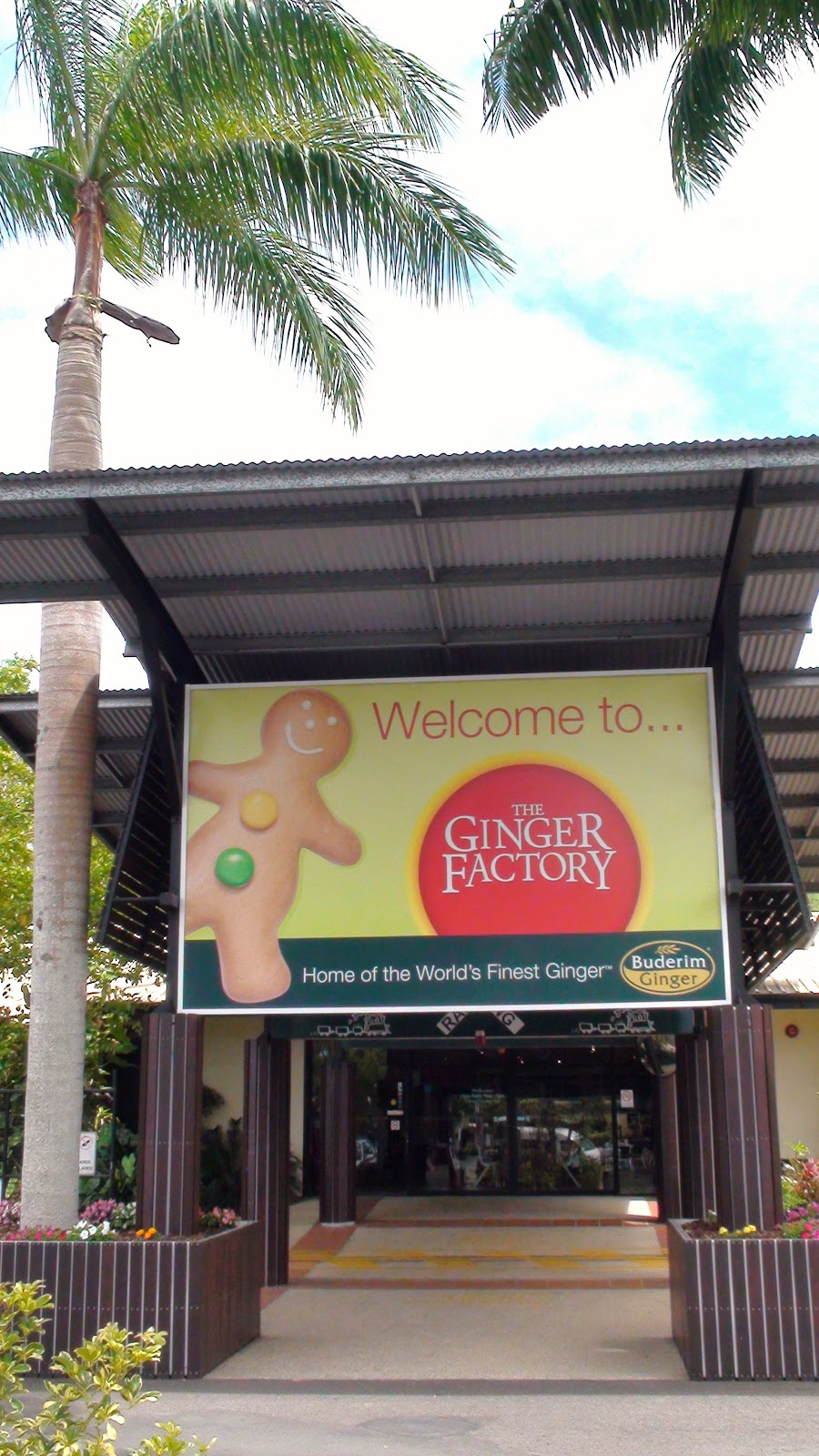 Simple Simon Says Yandina Ginger Factory