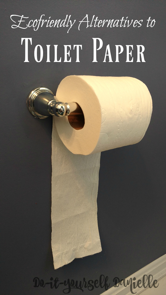 Some ecofriendly alternatives to toilet paper include cloth wipes or family cloth, as well as bidets. Learn more about these options. Ditching toilet paper for more ecofriendly options.