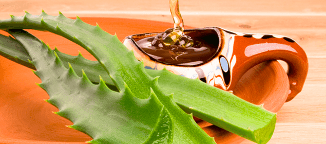 aloe y miel para la salud del cabello