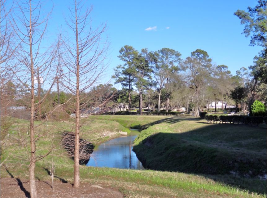 HTownWest Photo Blog Turkey Creek No turkeys, or even turkey vultures