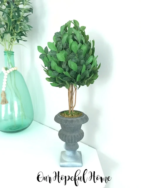 laurel leaf topiary in urn