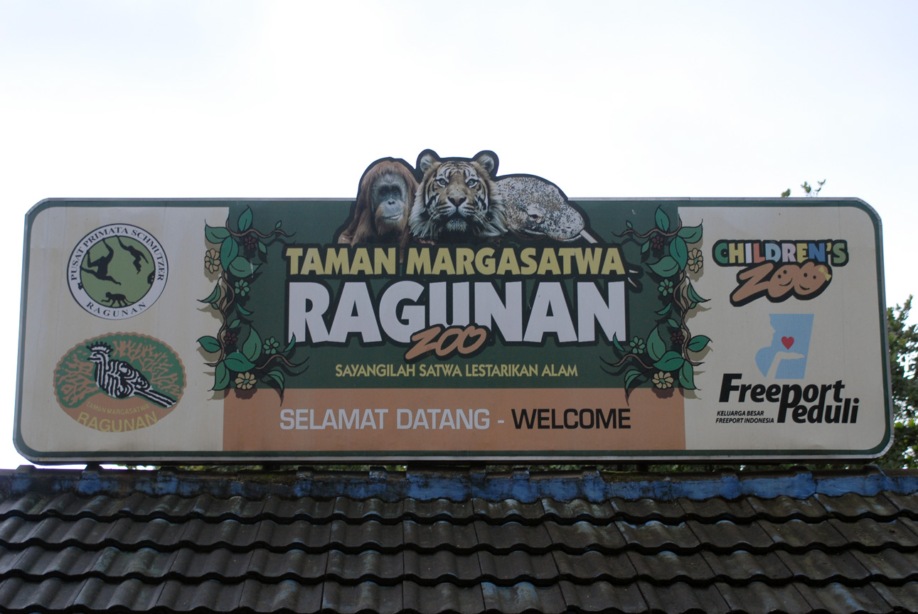 zoo OF jakarta (ragunan) ~ Tour jakarta