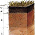 Soil Mechanics and  Foundation Engineering