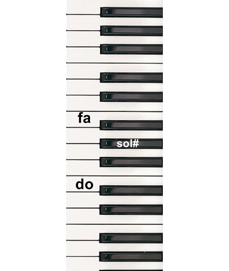 Noticias en la web. Acordes menores del acordeón de teclas