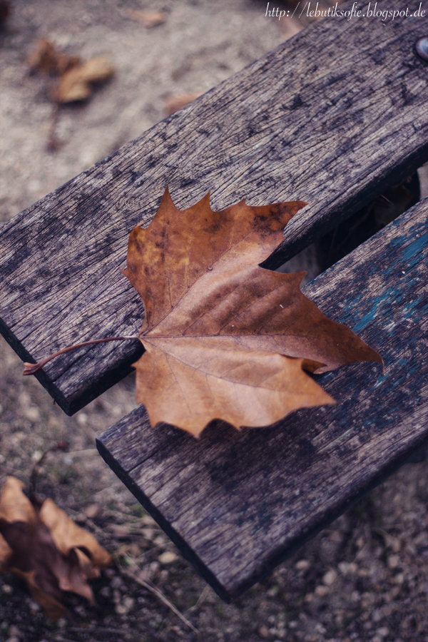 Schokoladentorte mit Erdnussbutter und Karamell und verschiednen Nüssen ...