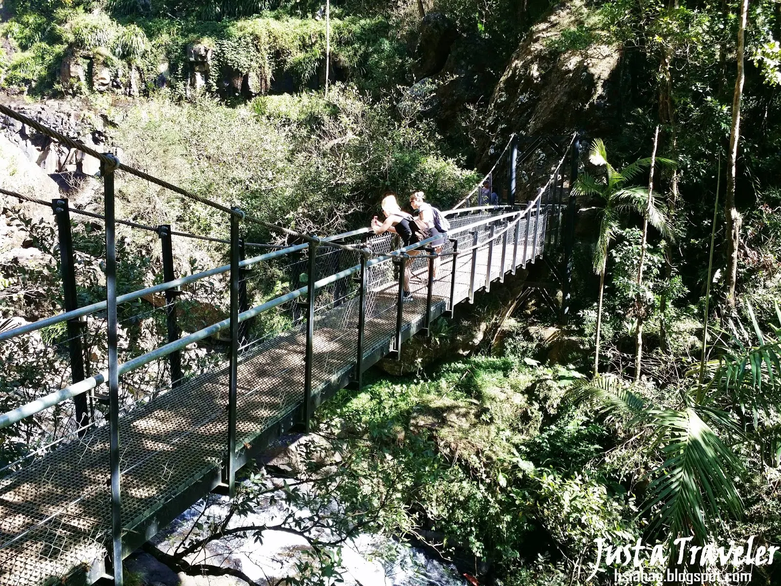 Gold-Coast-best-top-attraction-Springbrook-National-Park-glow-worm-cave-one-day-trip-day-tour-recommendation