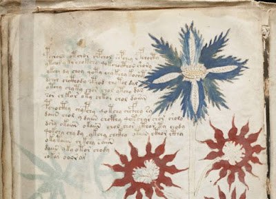 Curiosamente, molte delle piante raffigurate nel manoscritto non assomigliano a piante o fiori conosciuti. Curiosamente, molte delle piante raffigurate nel manoscritto non assomigliano a piante o fiori conosciuti.