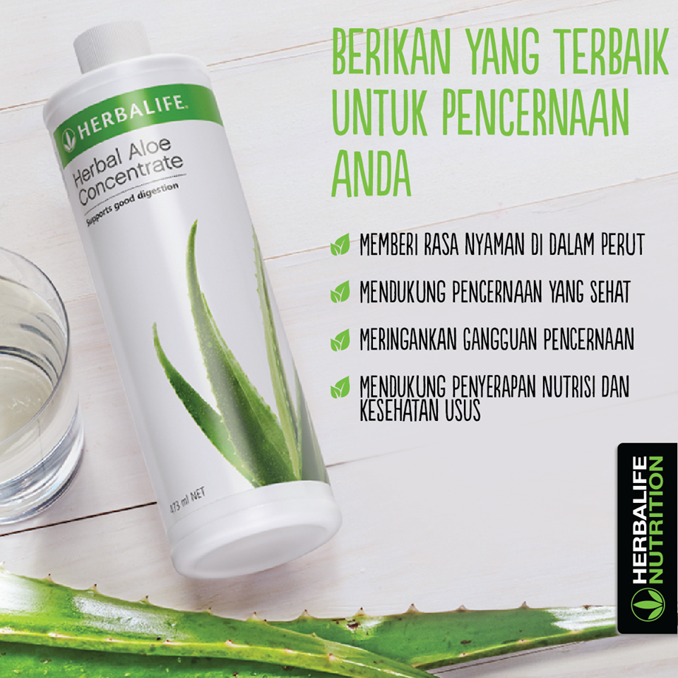HERBALIFE MAKASSAR