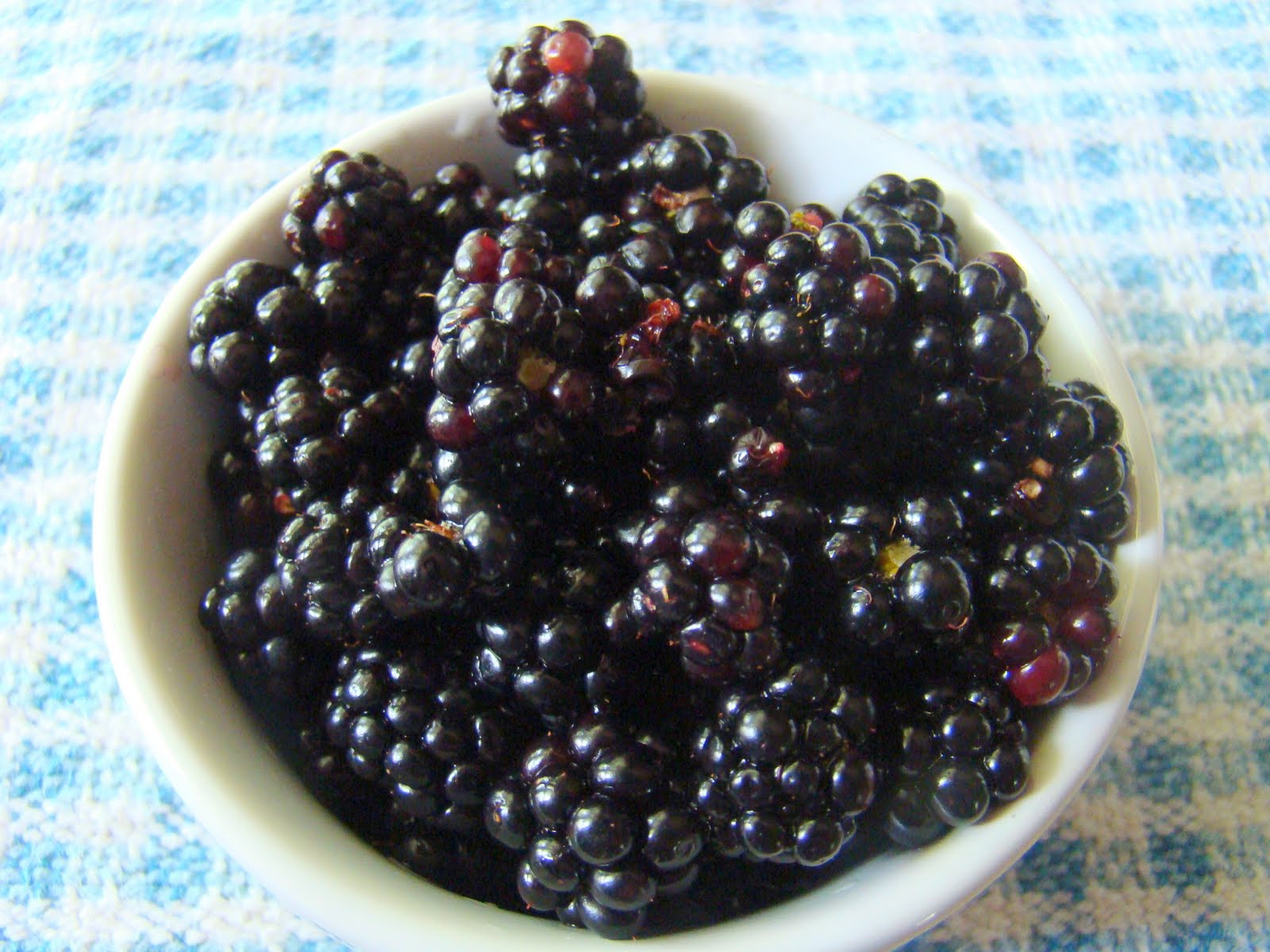 Rurification Robin Edmundson Blackberries