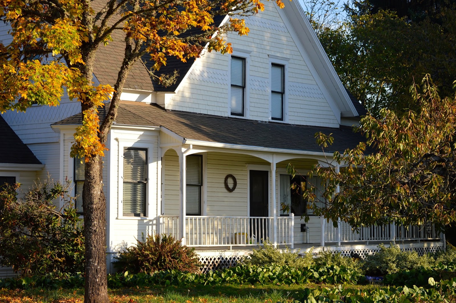 Annabanana: Fall In Oregon