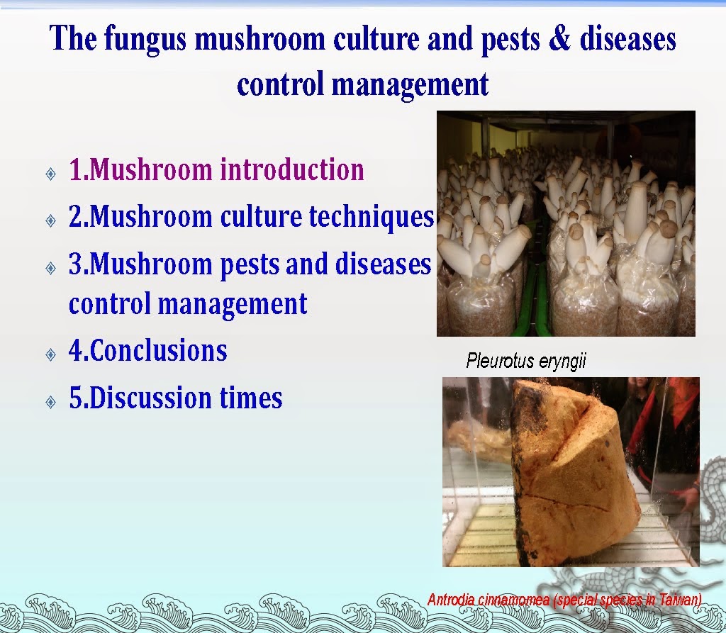 Mushroom Research Centre Universiti Malaya (MRCUM) Slides Presentation