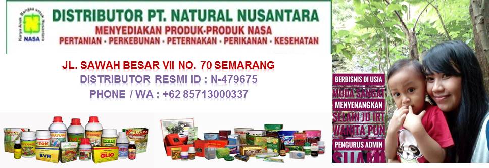 Distributor Nasa Semarang