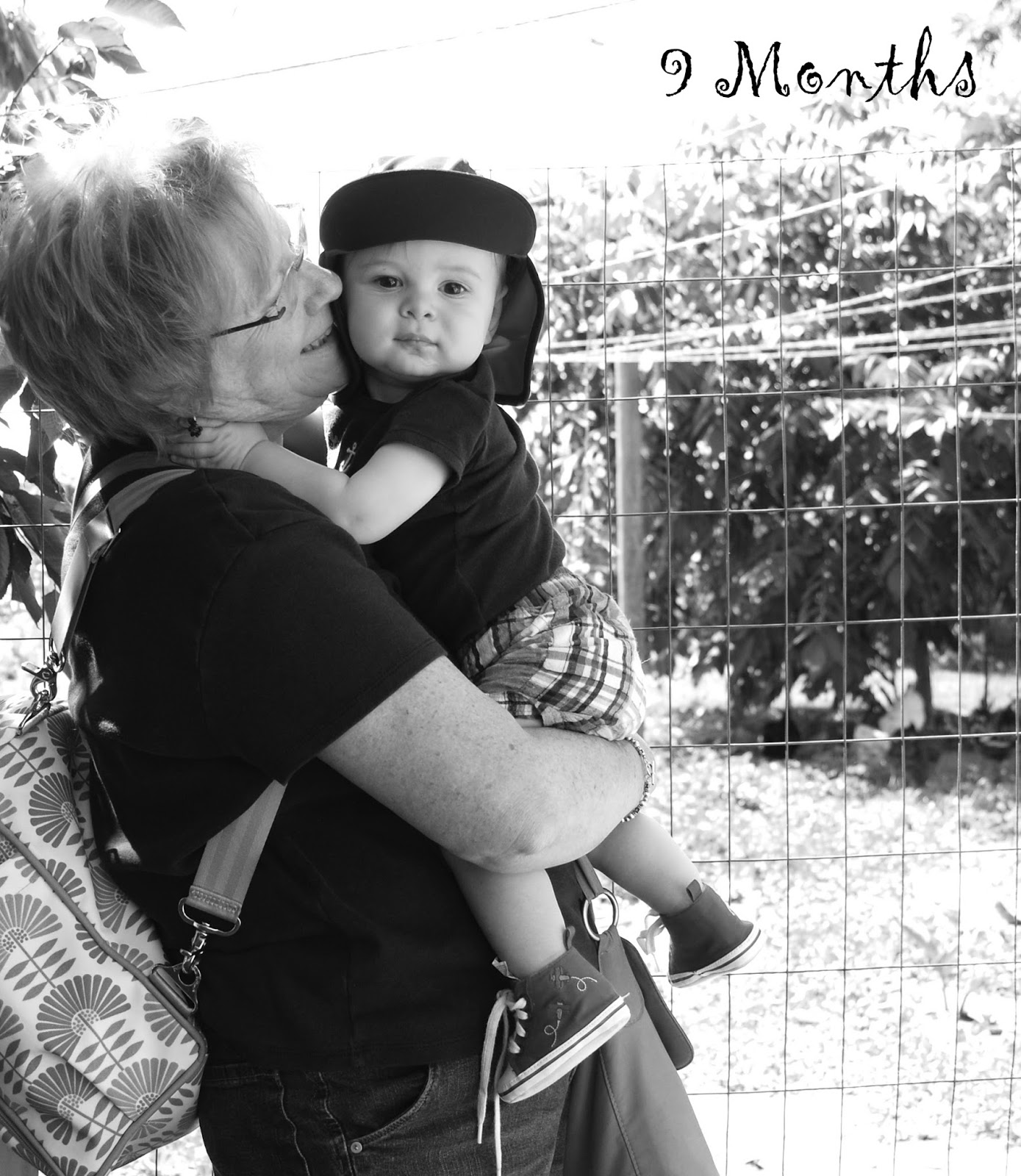 Labors Of Love 9 Months A Hierarchy Of Needs labors-of-love-9-months-a-hierarchy-of-needs