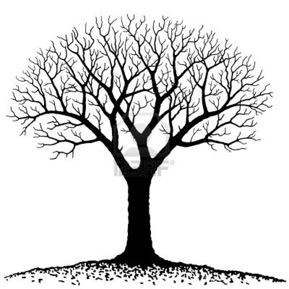 clip art tree with no leaves - photo #39