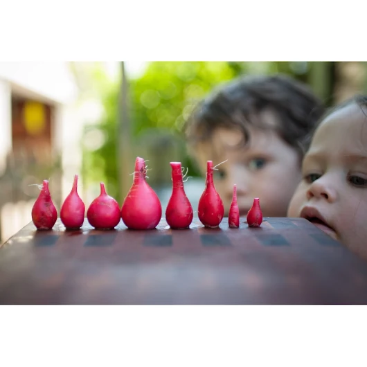 Slow home VT - Decreasing our Food bill