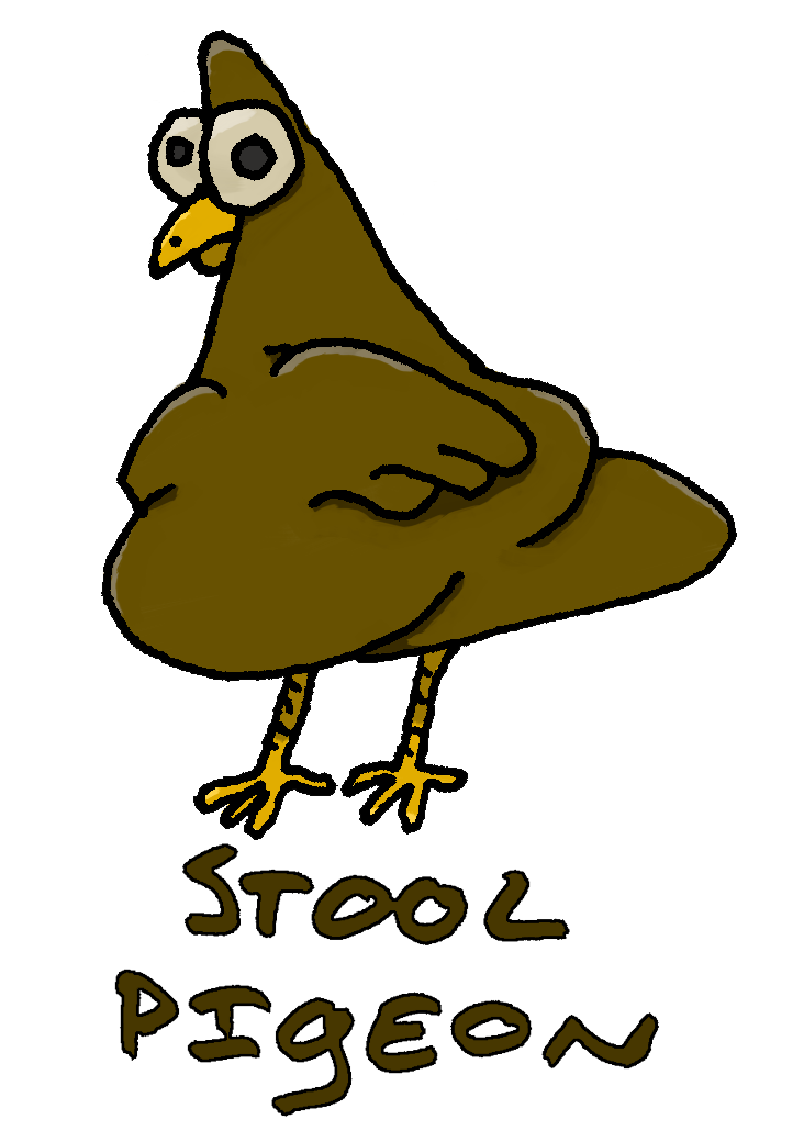 Stool Pigeon
