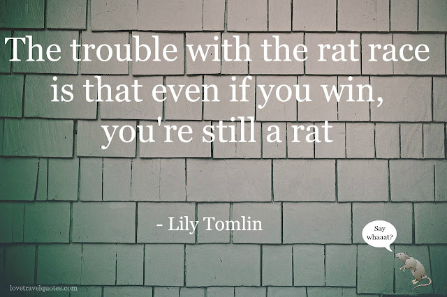 the trouble with the rat race is that even if you win, you're still a rat