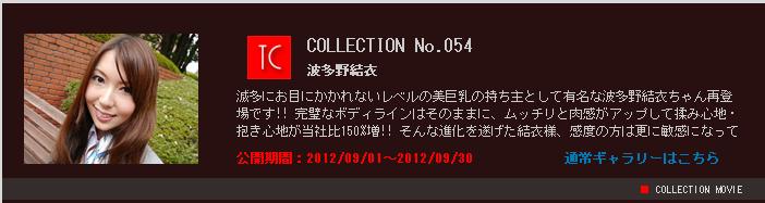 main Pgaxi-247f 2012-09-15 TOKYO COLLECTION No.054 Yui 波多野結衣 [50P27.9MB] 2001d 