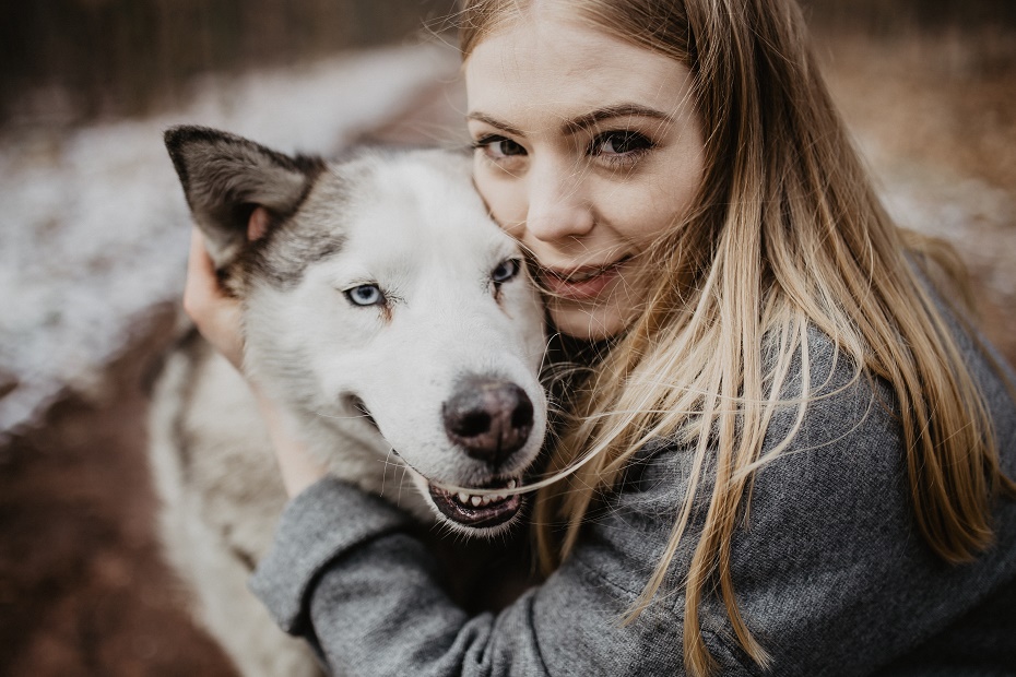 Sesja zdjęciowa Husky Sesja zdjęciowa Husky