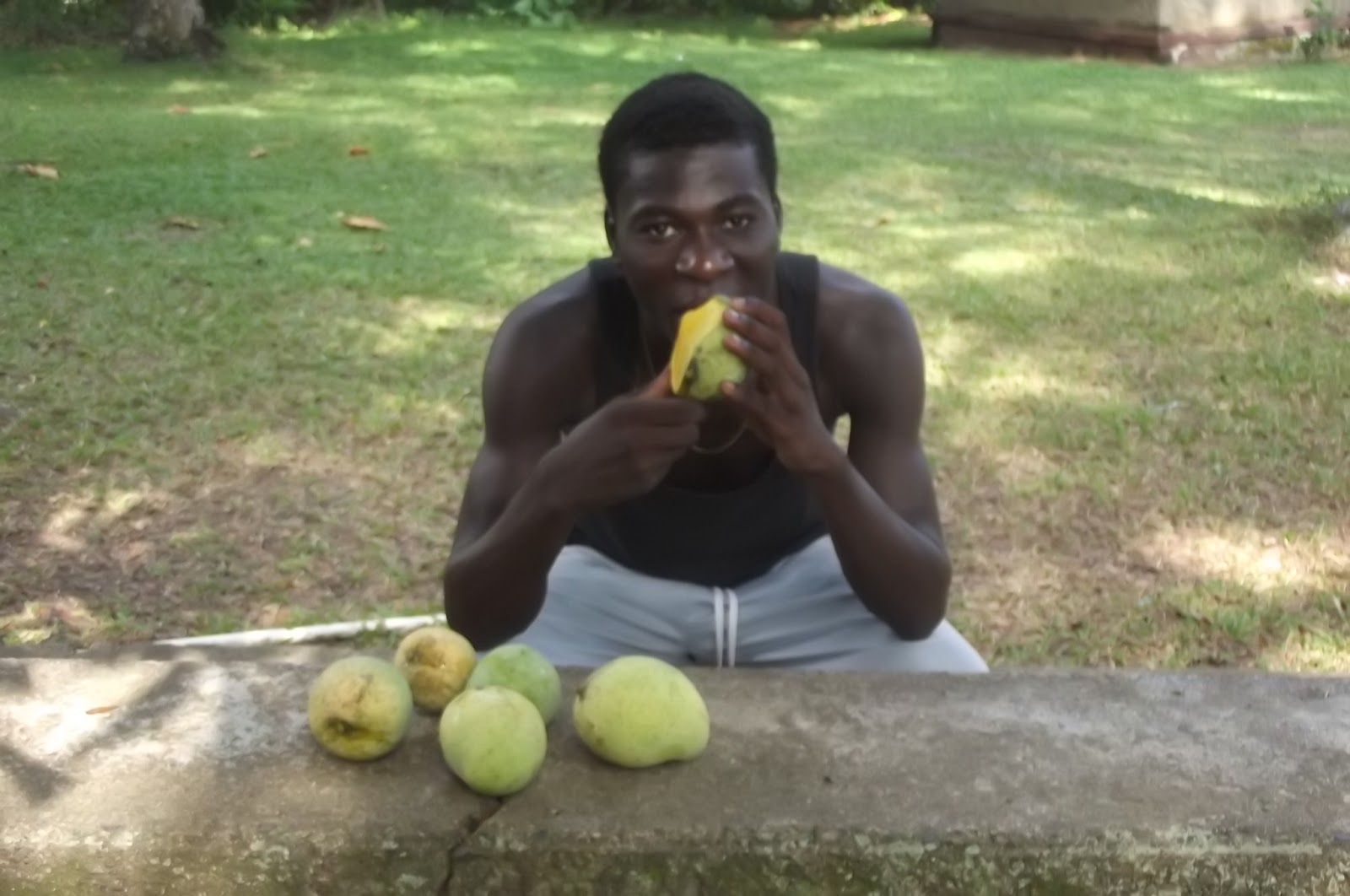 Thede Connection HAITI Mangos, by Cory