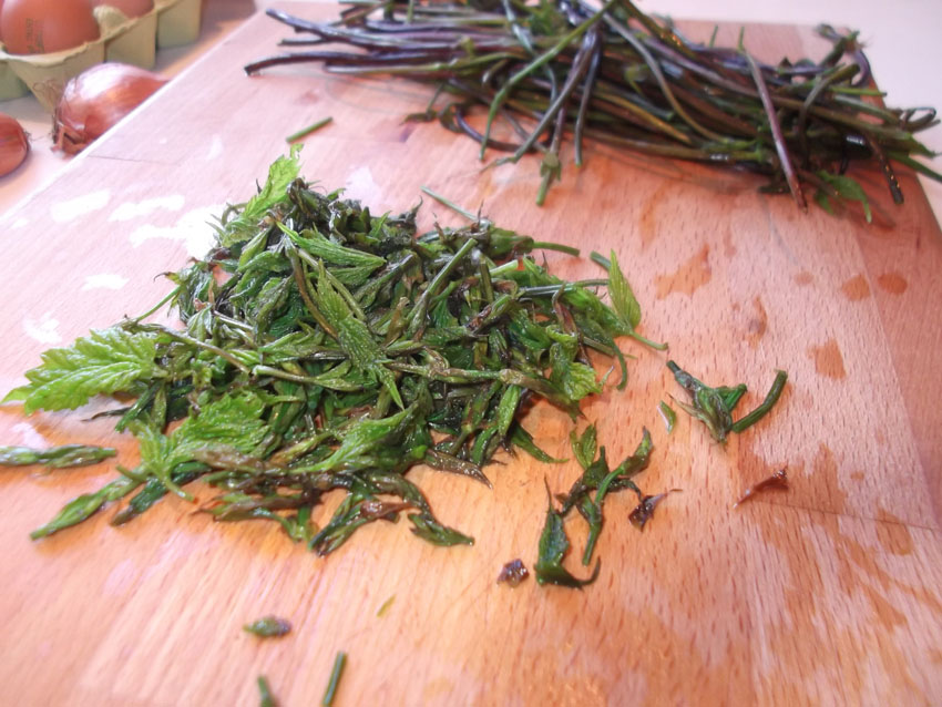 the gondolier's wife: Spring Omelette with Wild Hop Sprouts - Frittata ...