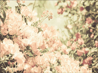 fondo de flores vintage 