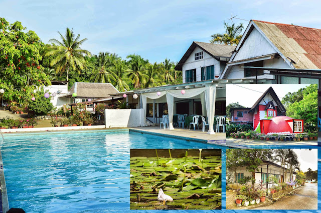 Persekitaran Agrofarmstay Skill-Tech Melaka Persekitaran Agrofarmstay Skill-Tech Melaka