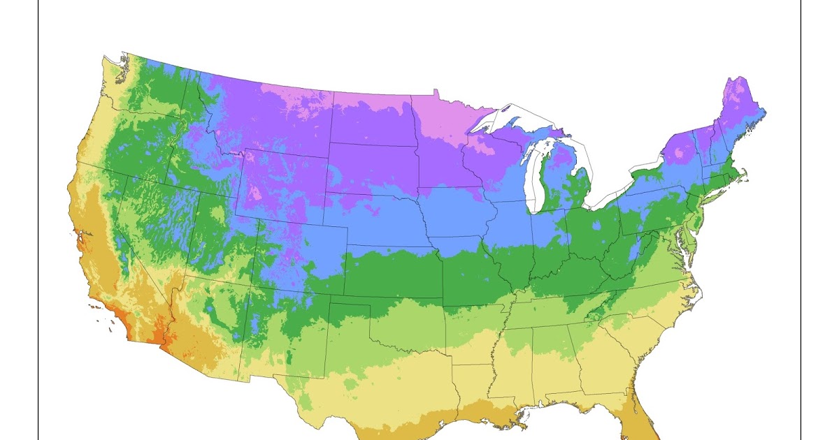 Климатические зоны США карта. Зоны морозостойкости США. Карта зон USDA USA.