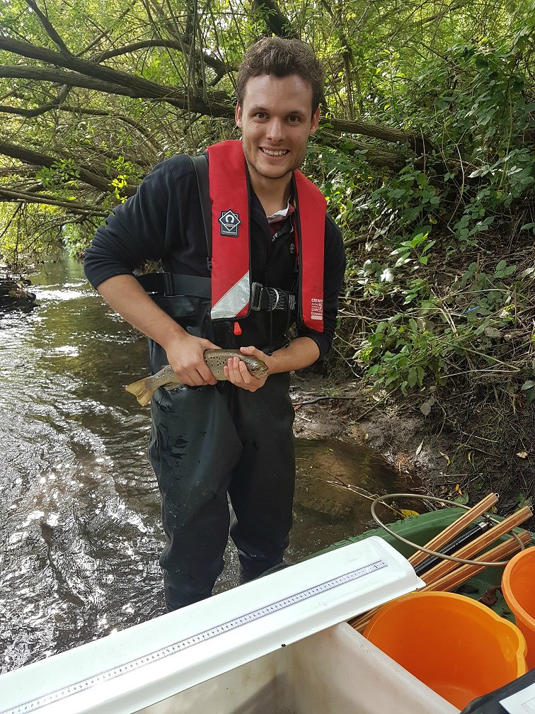 First Survey Record of Wild Trout Returning to Lyme Brook Habitat Works