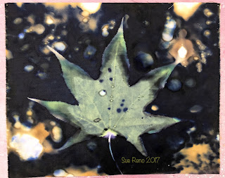Wet cyanotype_Sue Reno_Image 251