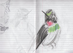 birds backwards fly vicky willmott