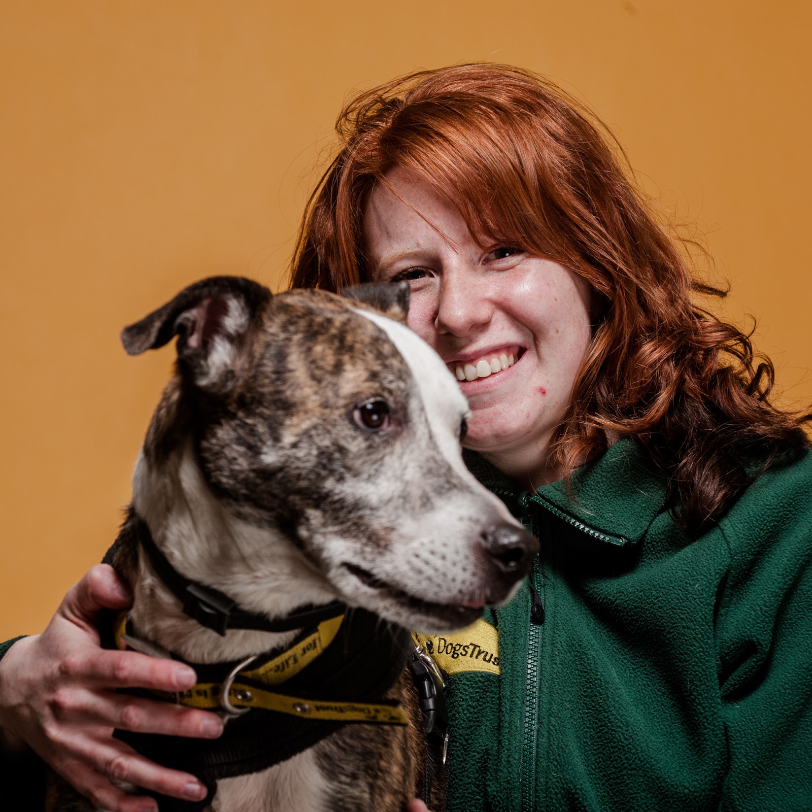 Dogs Trust Dogs Trust Loughborough... a year on!