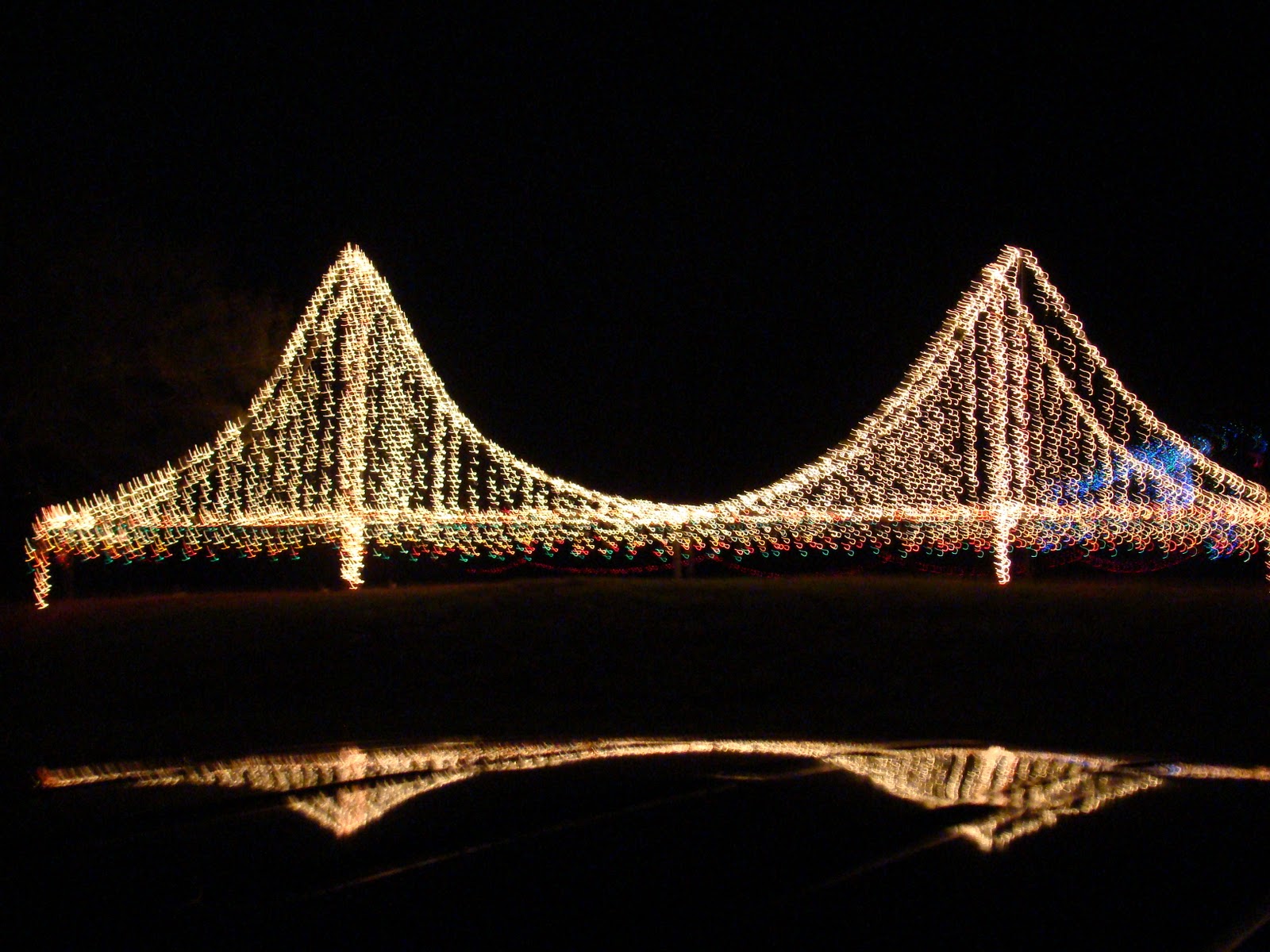 One Life to Love Light up the Night.